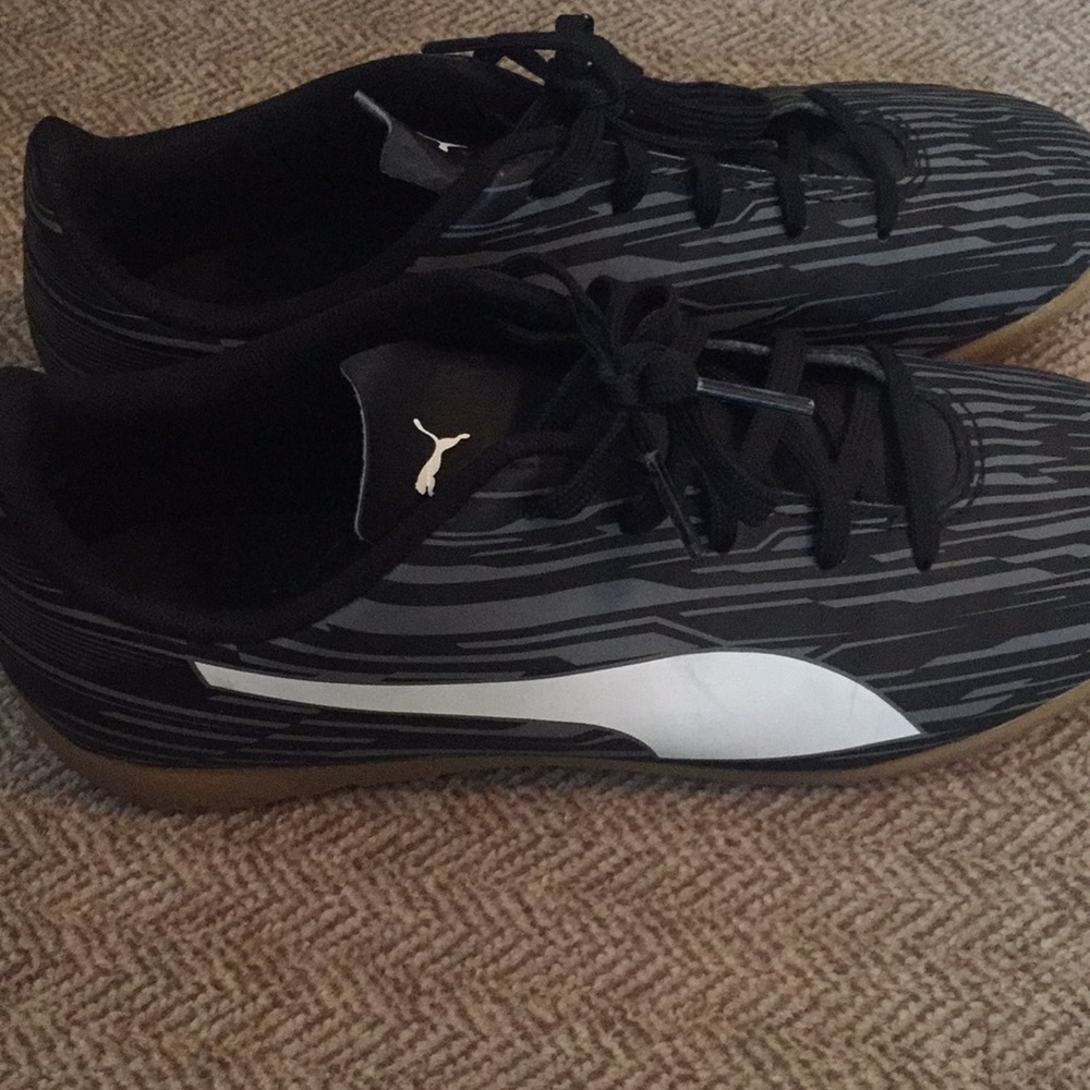 Pumas - Picture 3 of 7